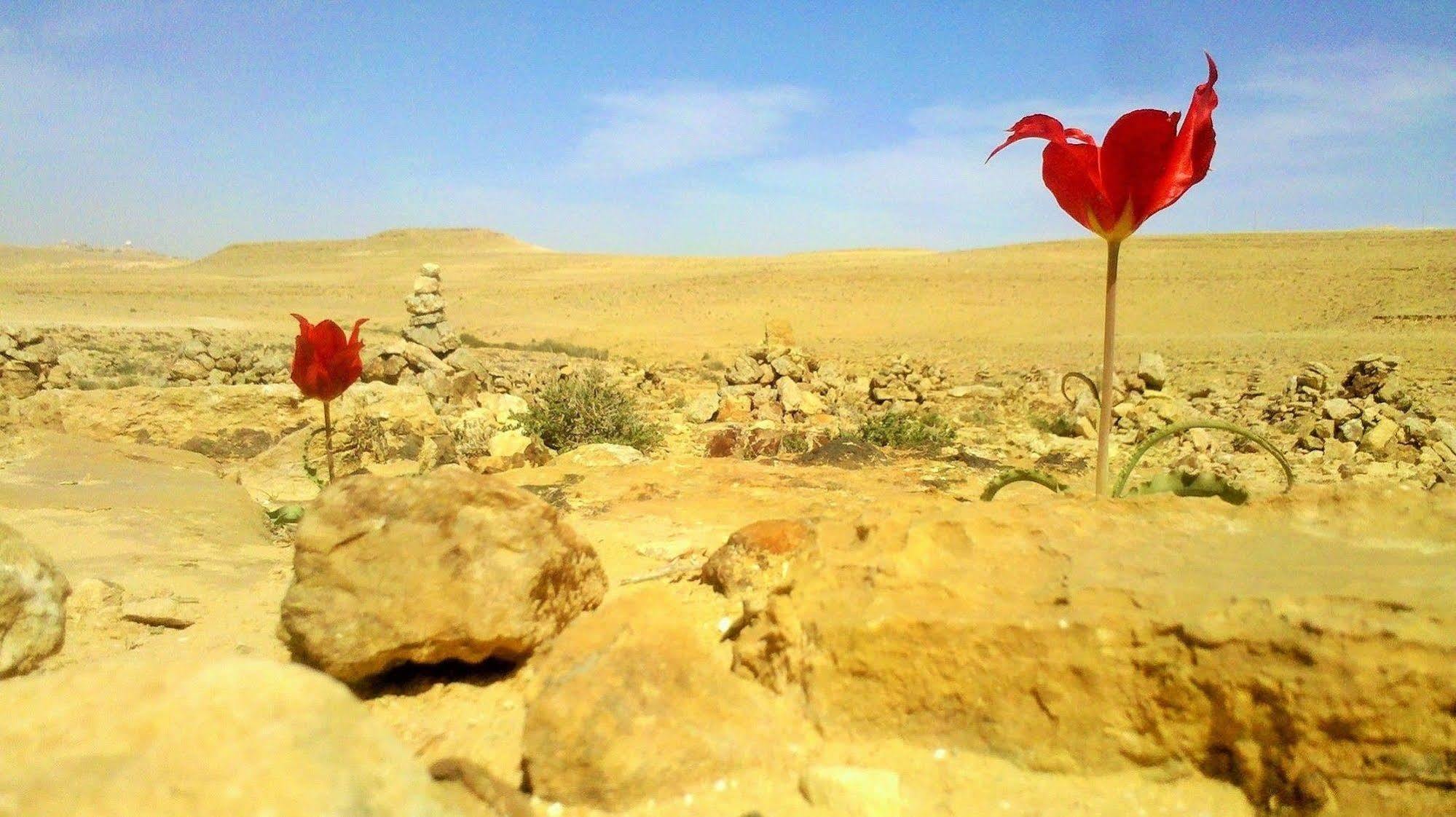 Silent Arrow Hotel Mitzpe Ramon Exterior photo